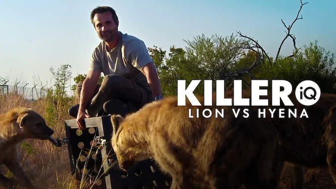 Killer IQ: Lion vs. Hyena
